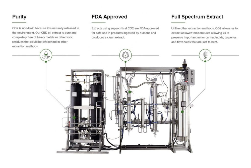 CO2 Extraction of Cannabidiol (CBD) – Process and Why it’s Important