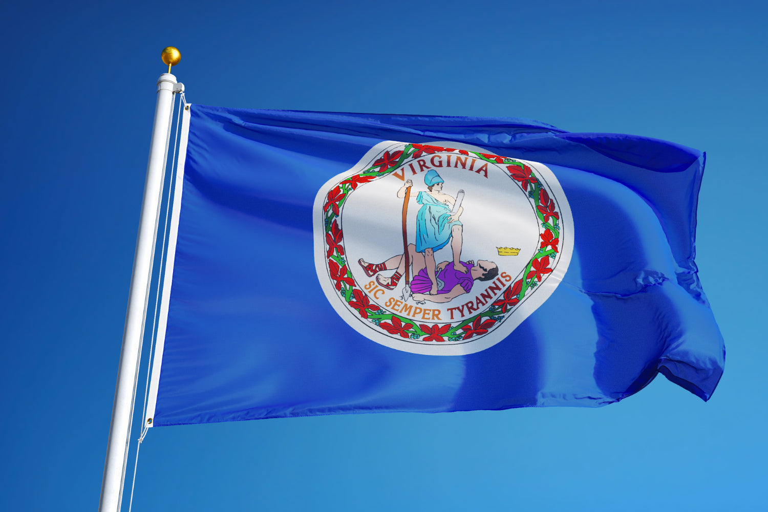 Is CBD Legal in Virginia: State Laws & How to Buy