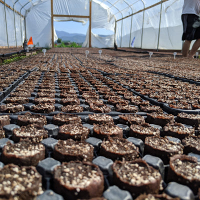 Farm to Bottle Freshness