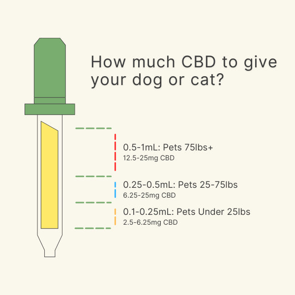 Broad Spectrum CBD Oil for Dogs & Cats