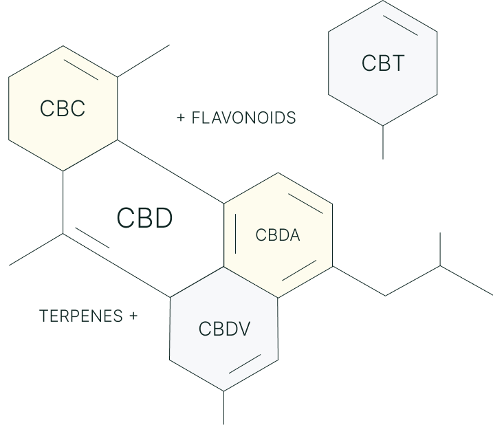 Colorado Botanicals