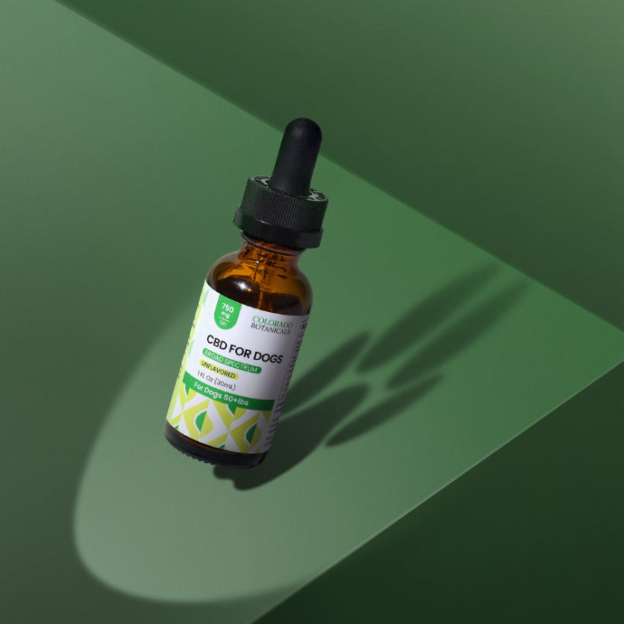 Colorado Botanicals CBD Oil for Dogs and Pets with green background and dog paw shadow