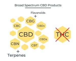 broad spectrum CBD oil doesn't contain CBD so THC wont show up on drug tests